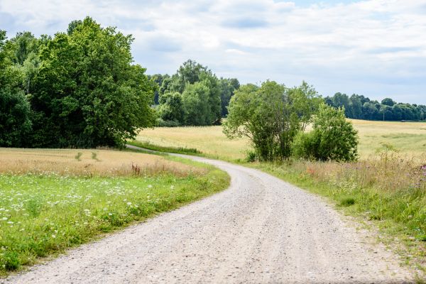 Stone Driveway Repair in Windsor