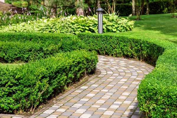 Paved Landscaping in Windsor