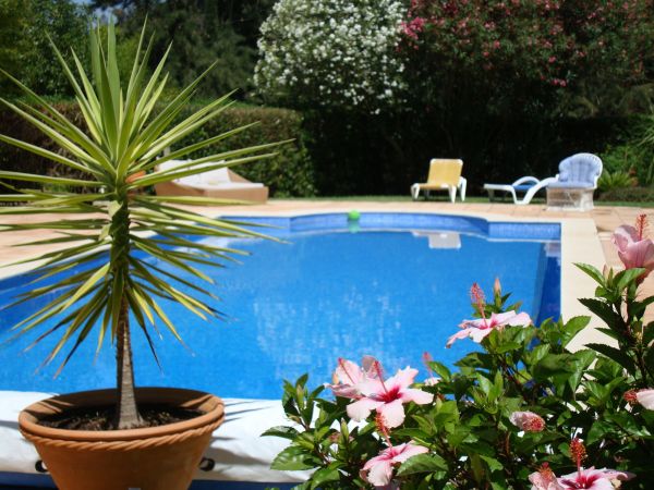Pool Terrace Renovation in Windsor