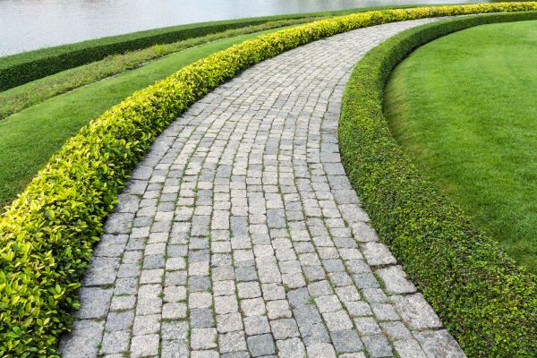 Sidewalk Pavers Installation in Windsor